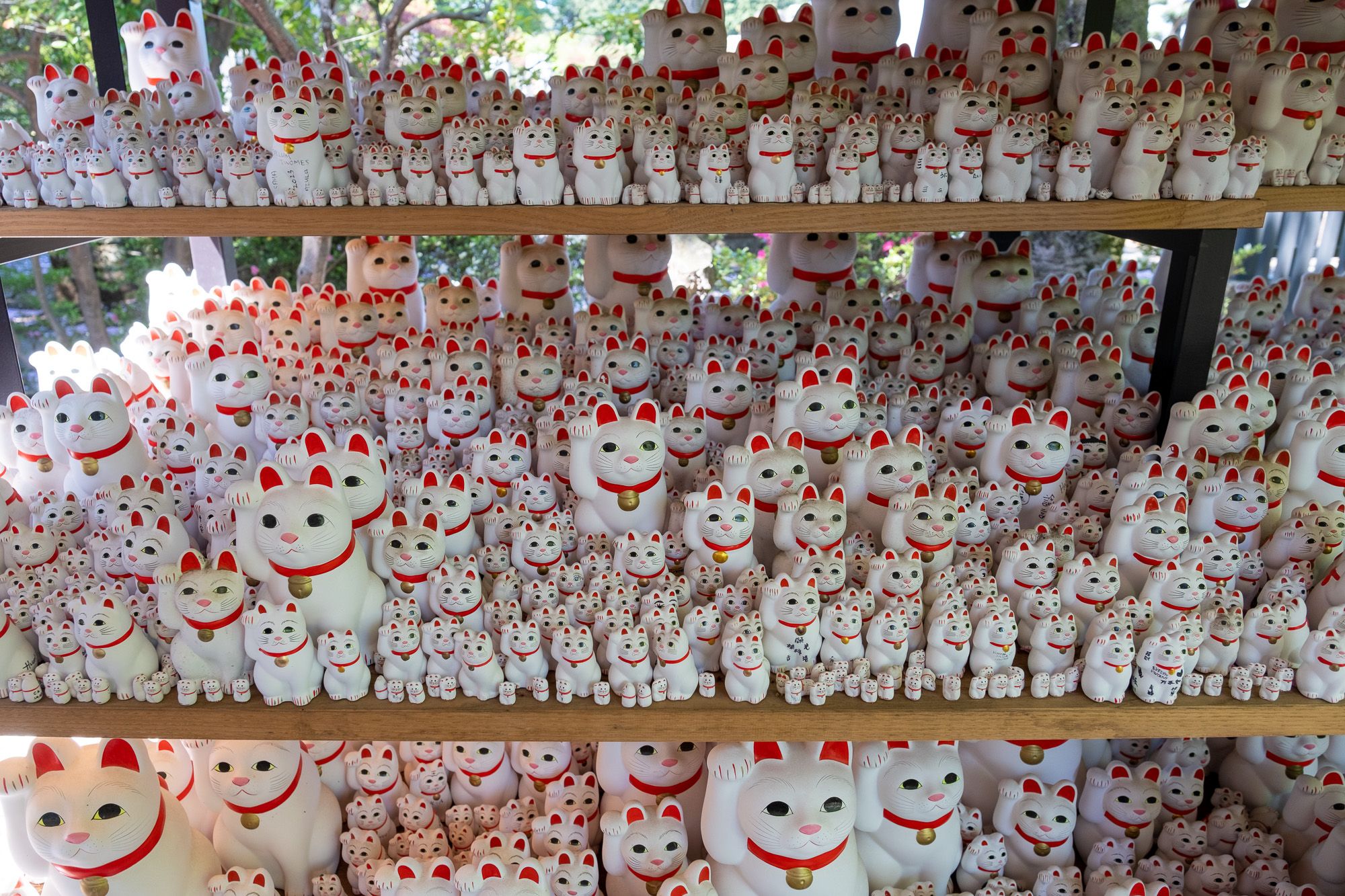 Tokyo's temple of kittens