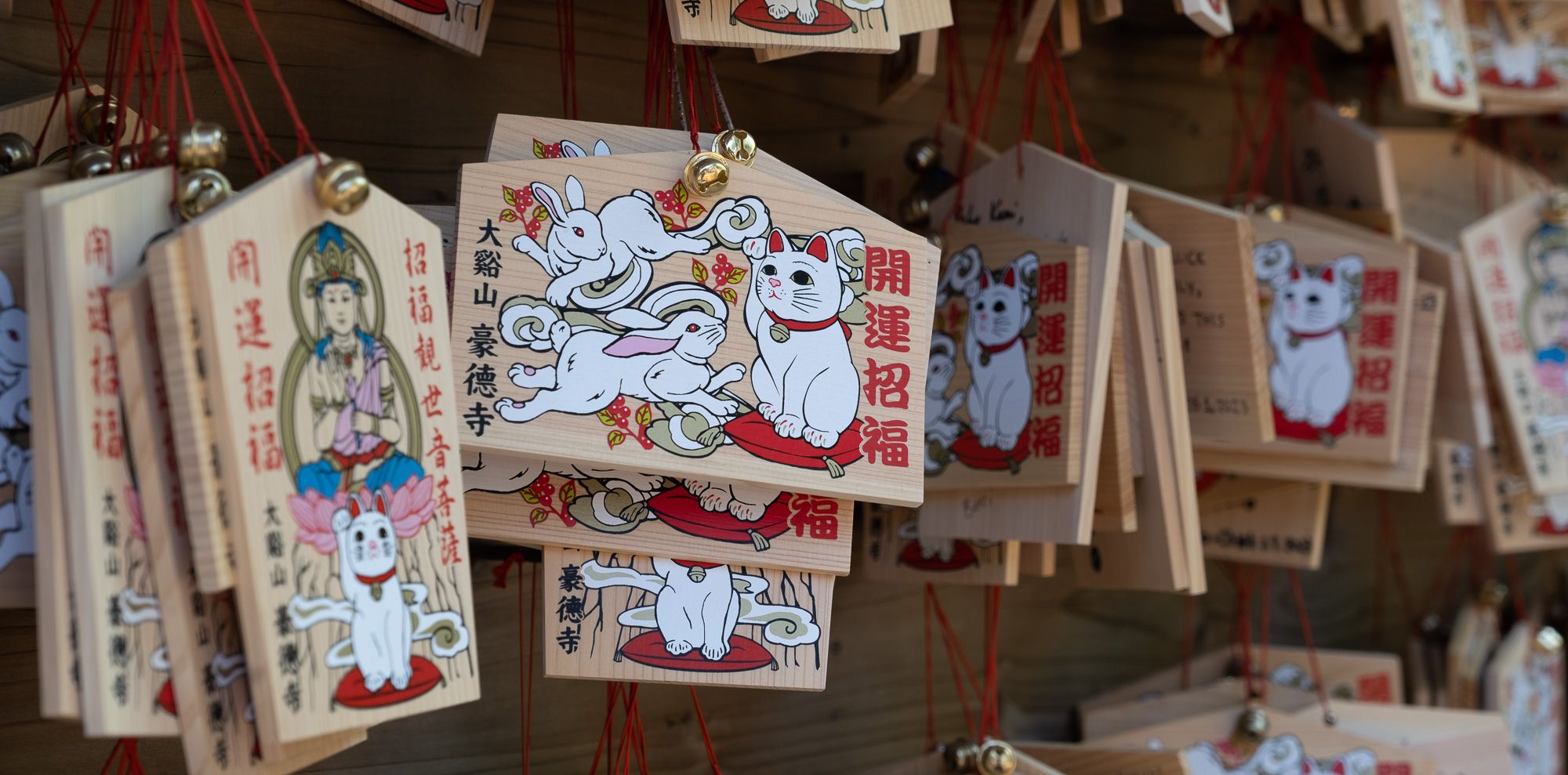 Tokyo's temple of kittens
